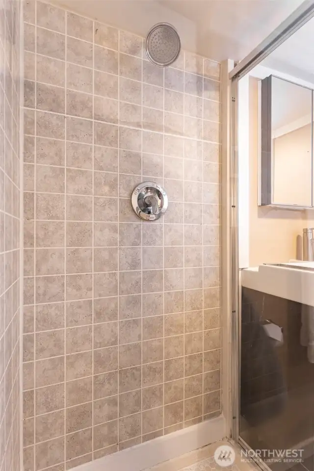 Lower level shower