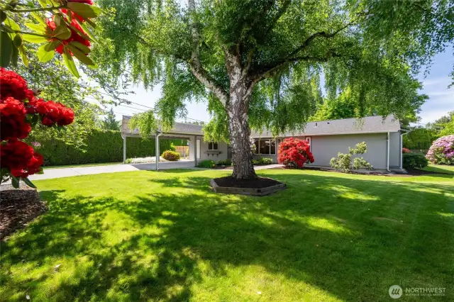 Welcome to 1215 S Walnut Street, Burlington, WA 98233
