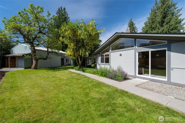 Spacious side yard that leads from the driveway to the ADU via a paved sidewalk.