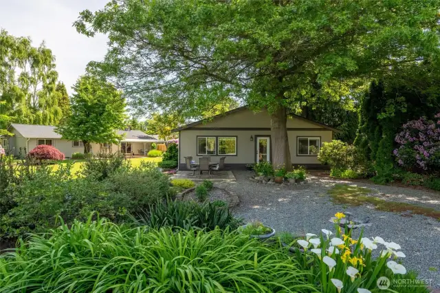 Enjoy your backyard with mature trees. The ADU has a back patio that offers some privacy from the main house. The entire yard is a gardeners paradise.