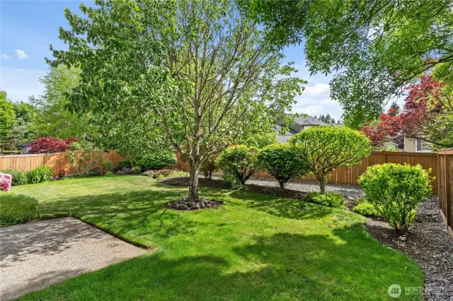 Fully Landscaped Yard w/Extra Patio space