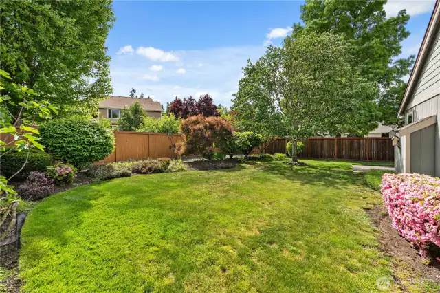 Another View of the beautiful backyard!