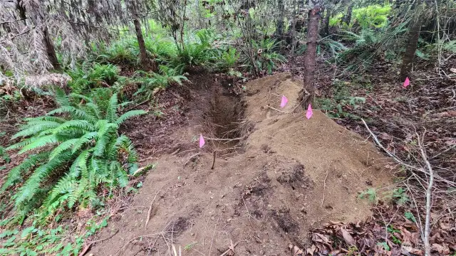 Perk holes for Lot 4 with excellent soils.