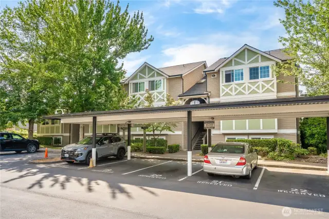 Welcome to Connection Condominium!