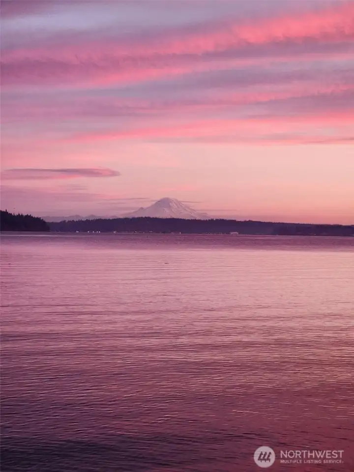 Imagine waking up to this view of Mt Rainier!