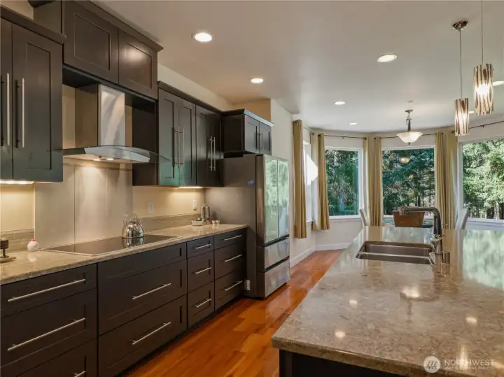 Quartz Countertop, Induction Stove