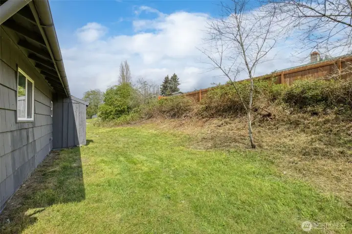 Spacious backyard!