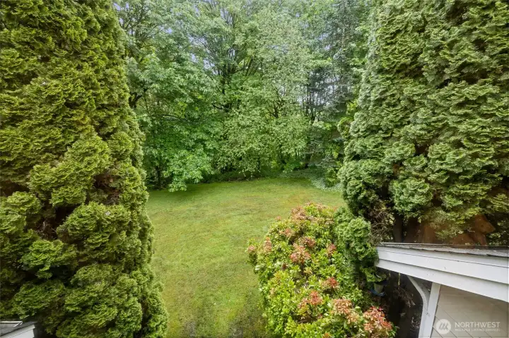 View from Primary Bedroom window.