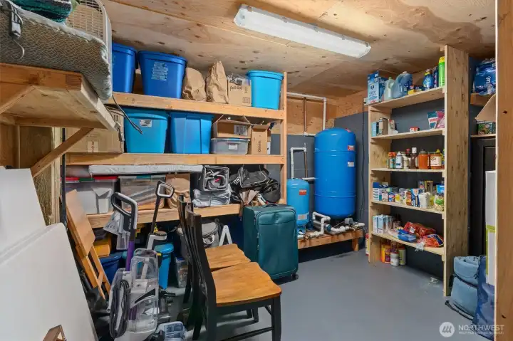 Lower level utility room, pantry, dry storage, wine cellar
