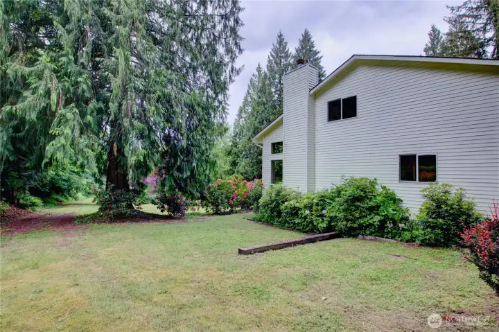 Side yard with drive down to shop Side yard with drive down to shop