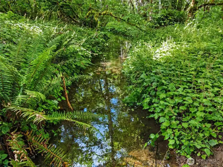 An irrigation ditch runs through the property! Build a pond, water your orchard, or tend your garden with water that flows right through your property.