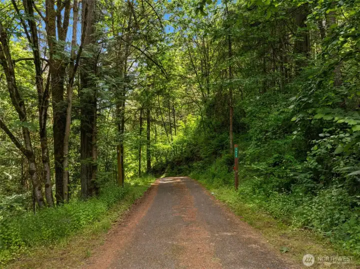 Private driveway to your 2.3-acre Retreat Private driveway to your 2.3-acre Retreat