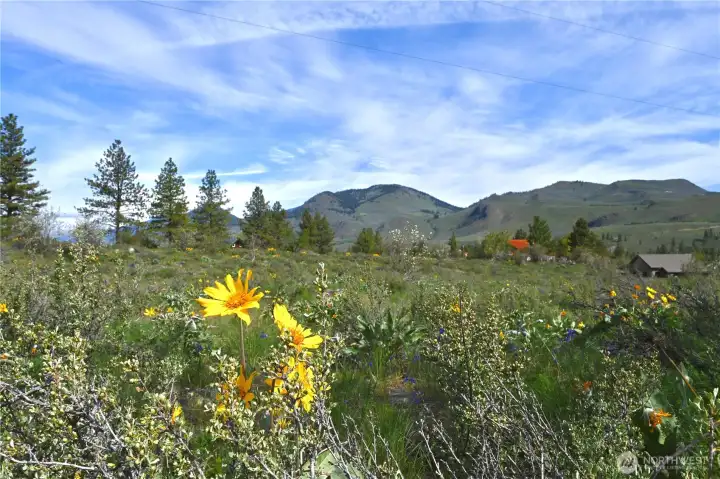 Green Meadows Lot 10 looking NW at Gunn Ranch on the hillside
