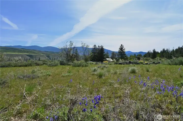 Green Meadows lot 10 Just off of Green Meadows road looking East