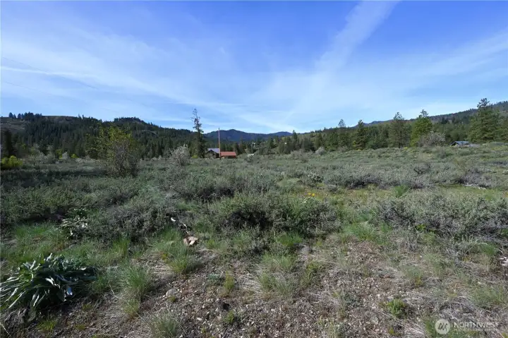 Green Meadows lot #10 looking SW towards Sun Mtn. in the far left of image.