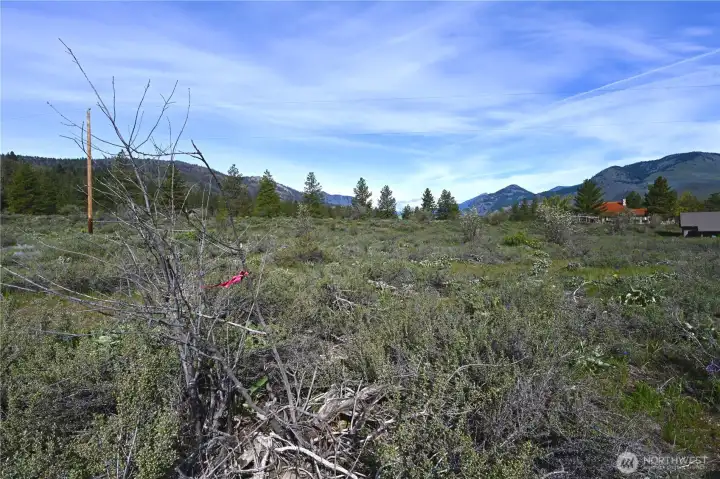 Green Meadows lot 10 looking from the Left Fork Wolf Creek Road.