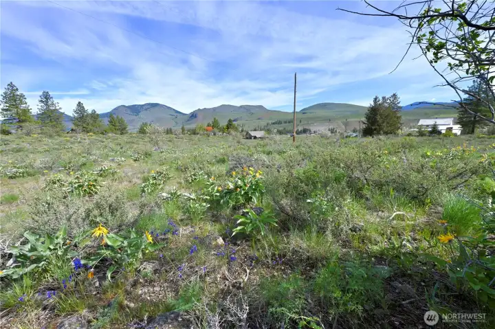 Green Meadows lot 10 looking North