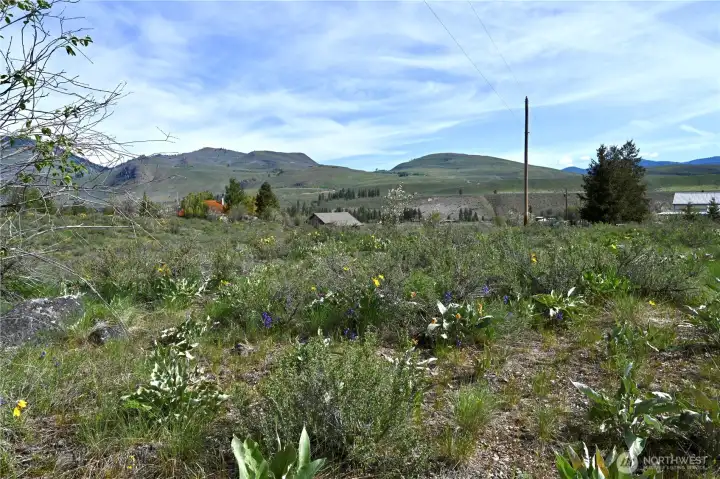 Green Meadows lot 10 with balsamroot, lupin, and serviceberry flowers in bloom.