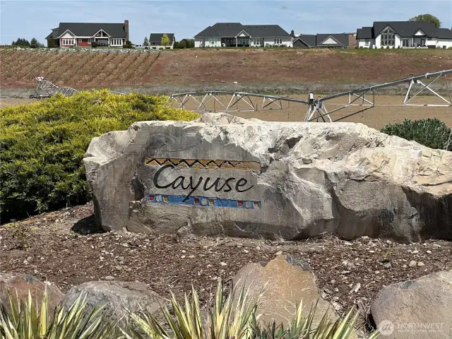 Come Check out this 2.7+ acre lot in Cayuse!