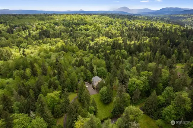 Aerial view of the home and surrounding area.