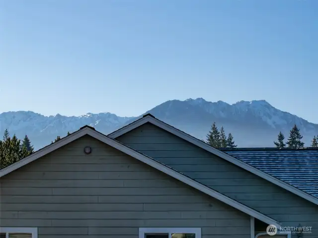 MT. VIEW FROM DECK