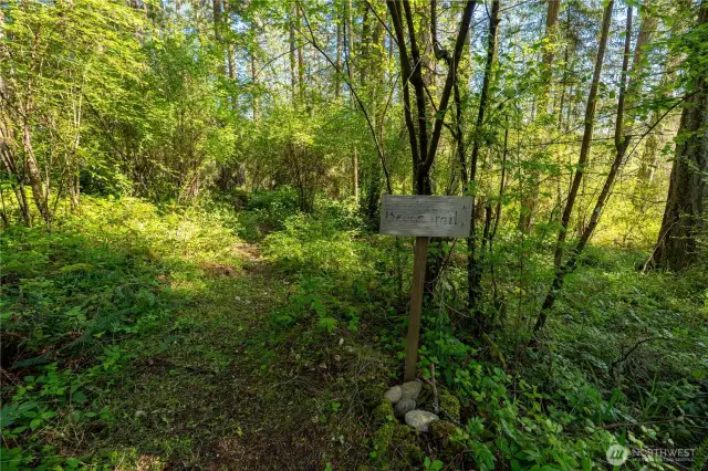 Whimsical trails throughout the property
