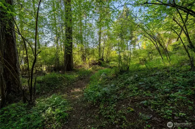 Trails trails trails