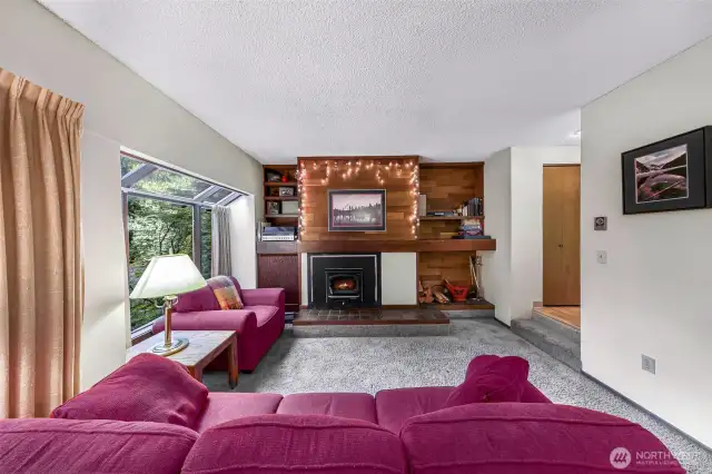 Wood Burning Fireplace