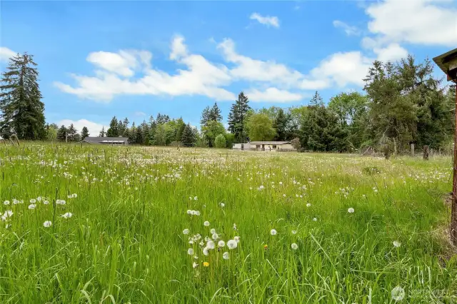 Pasture - mobile included, back right