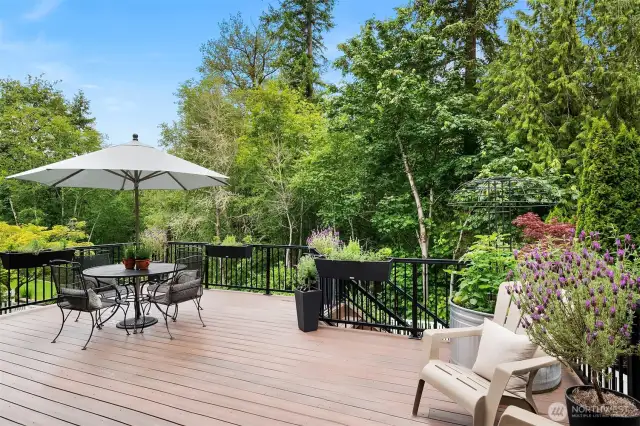Expansive backyard deck, perfect for entertaining and unwinding.