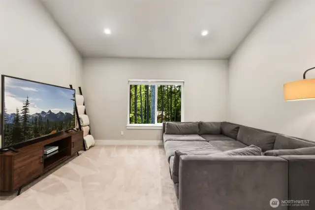 Bonus Room/Media Room