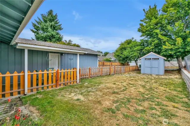 View of backyard from back of house.