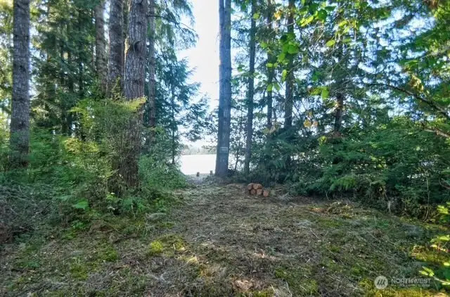 Trails to beach with so many possibilities!