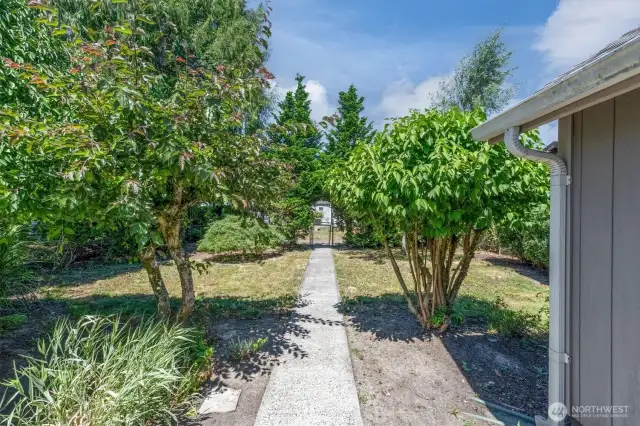 Fenced back yard