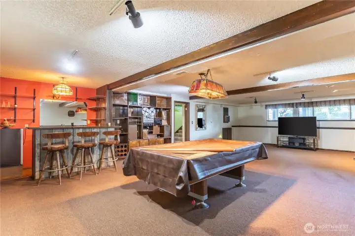 downstairs rec/family room tons of space and storage