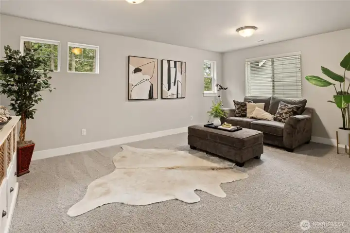 Huge bonus room upstairs