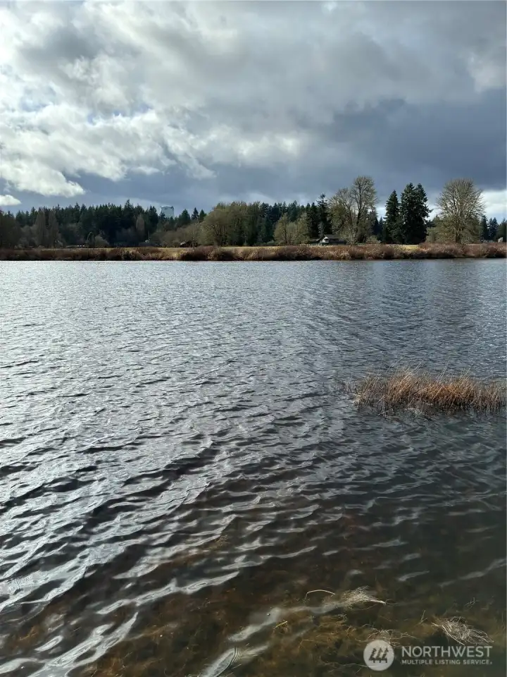 Chambers Lake view from backyard offers a quiet sanctuary