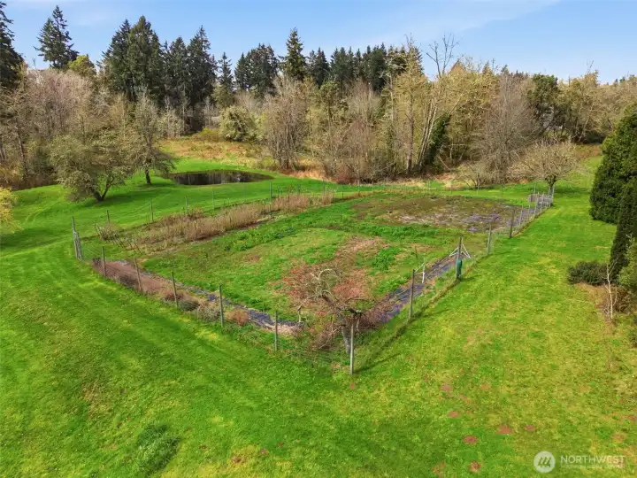 Organic farming and pond