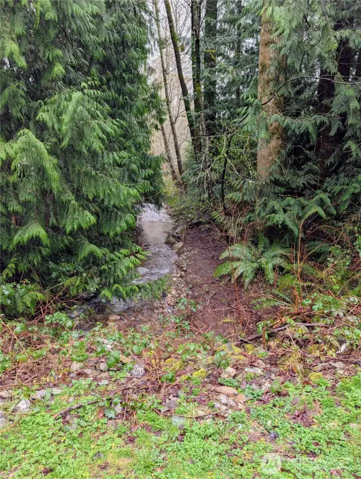 Creek is on the backside of the property.