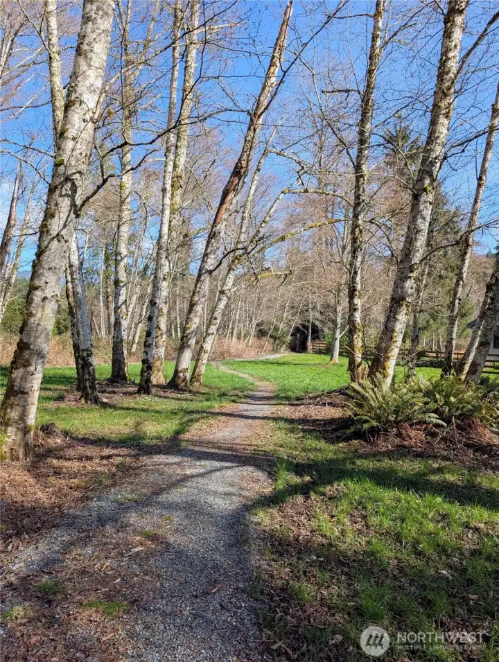 Trail that leads to the lake.
