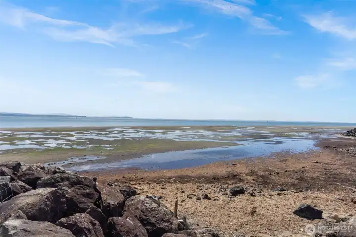 At low tide you can --