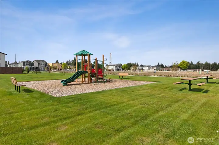 Community Park