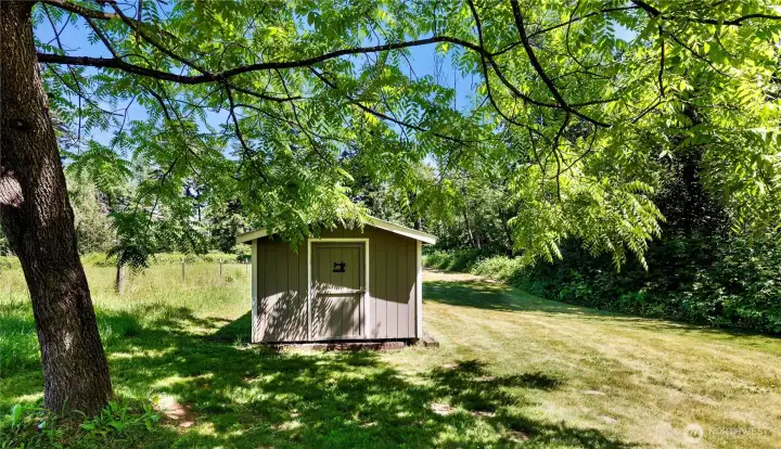 Great yard.