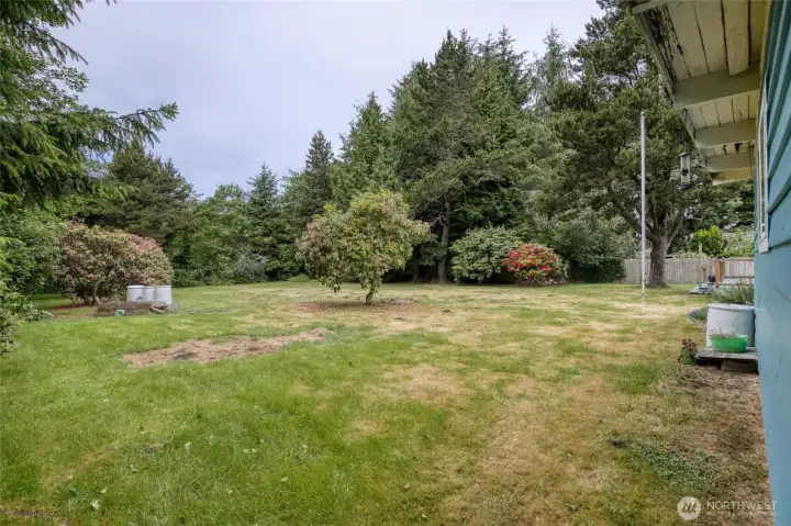 Large level backyard is surrounded with trees to provide privacy Large level backyard is surrounded with trees to provide privacy