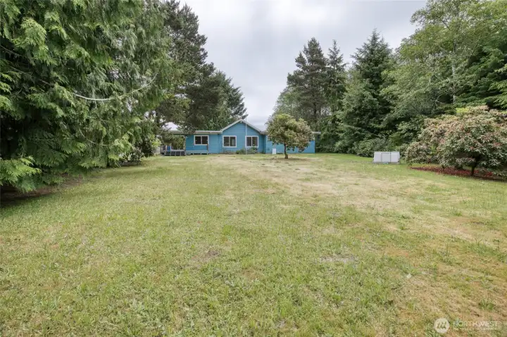 Large level backyard with mature trees Large level backyard with mature trees