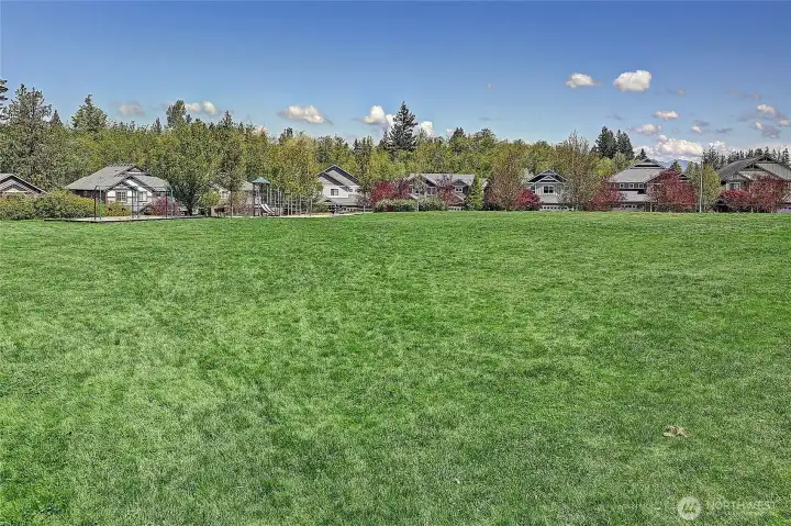Open and Spacious Park~ Open and Spacious Park~