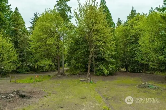 Another pasture shown here.  Plus there's more property for you to use between the barn tunouts and the road!