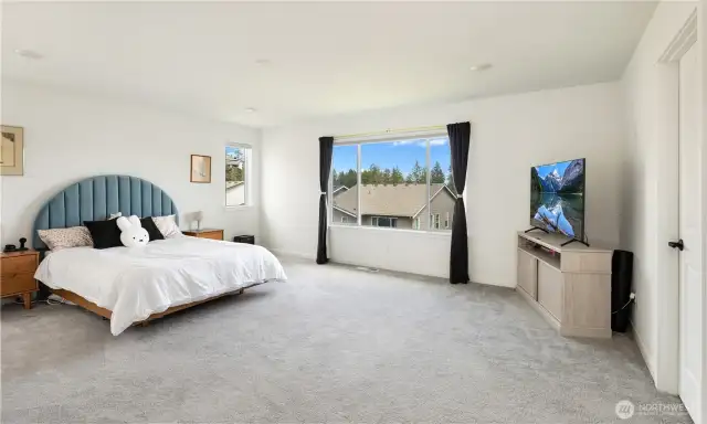 Huge primary bedroom with Mt views. To provide scale, that is a king sized bed.