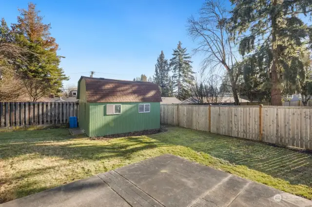 Large shed and back patio