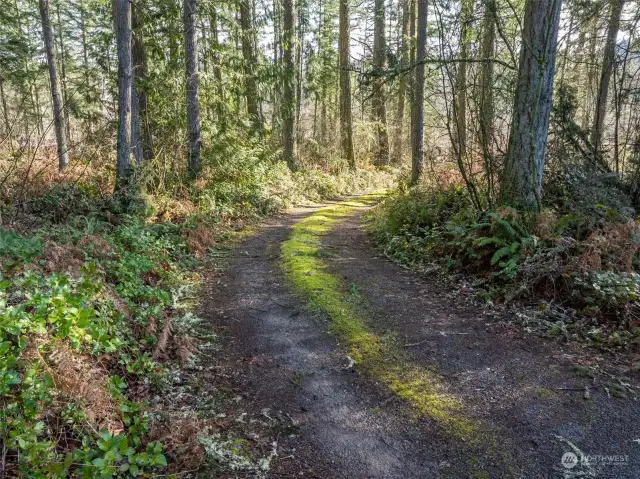 Potential for extra parking near the top of the driveway.